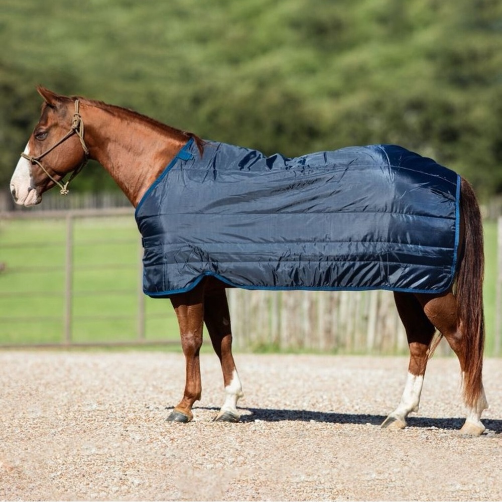 HORSEWARE IRELAND equestrian horse Blanket Liner 100g size 84